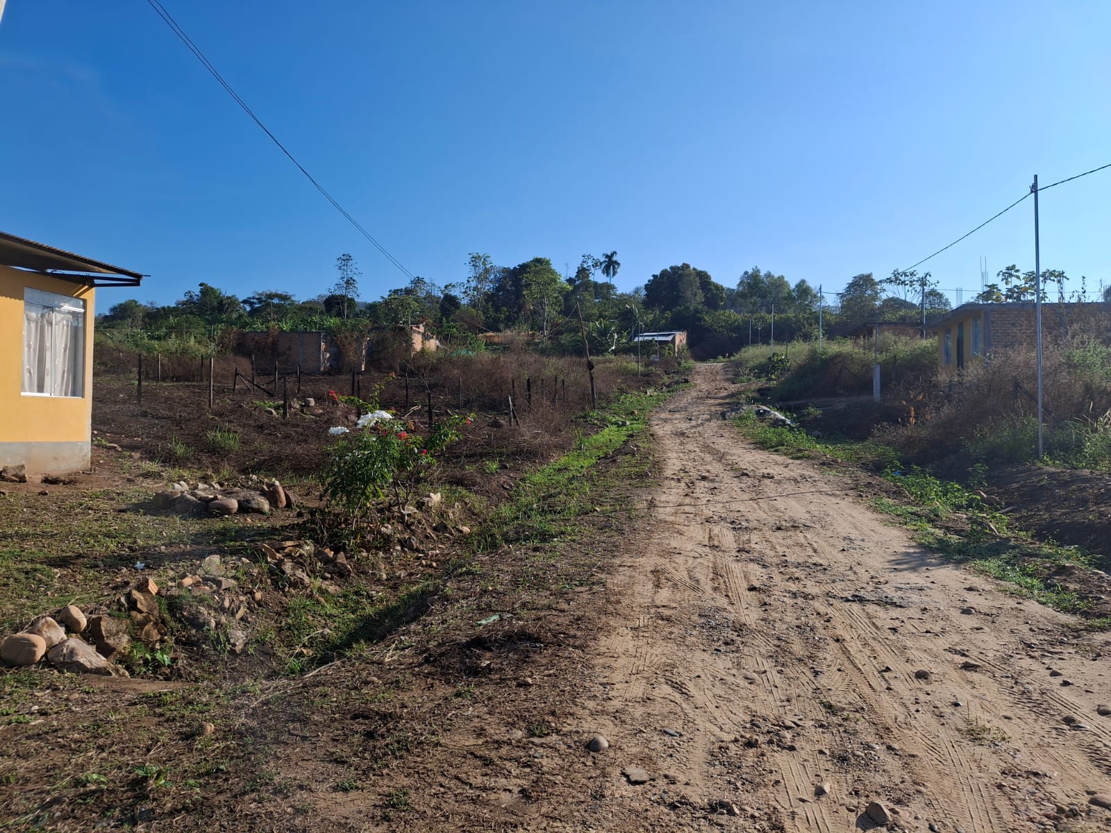Tarapoto, San Martín Cacatachi, ,Terreno,En Venta,1092